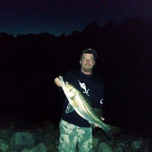 Meet your Posher, Danny